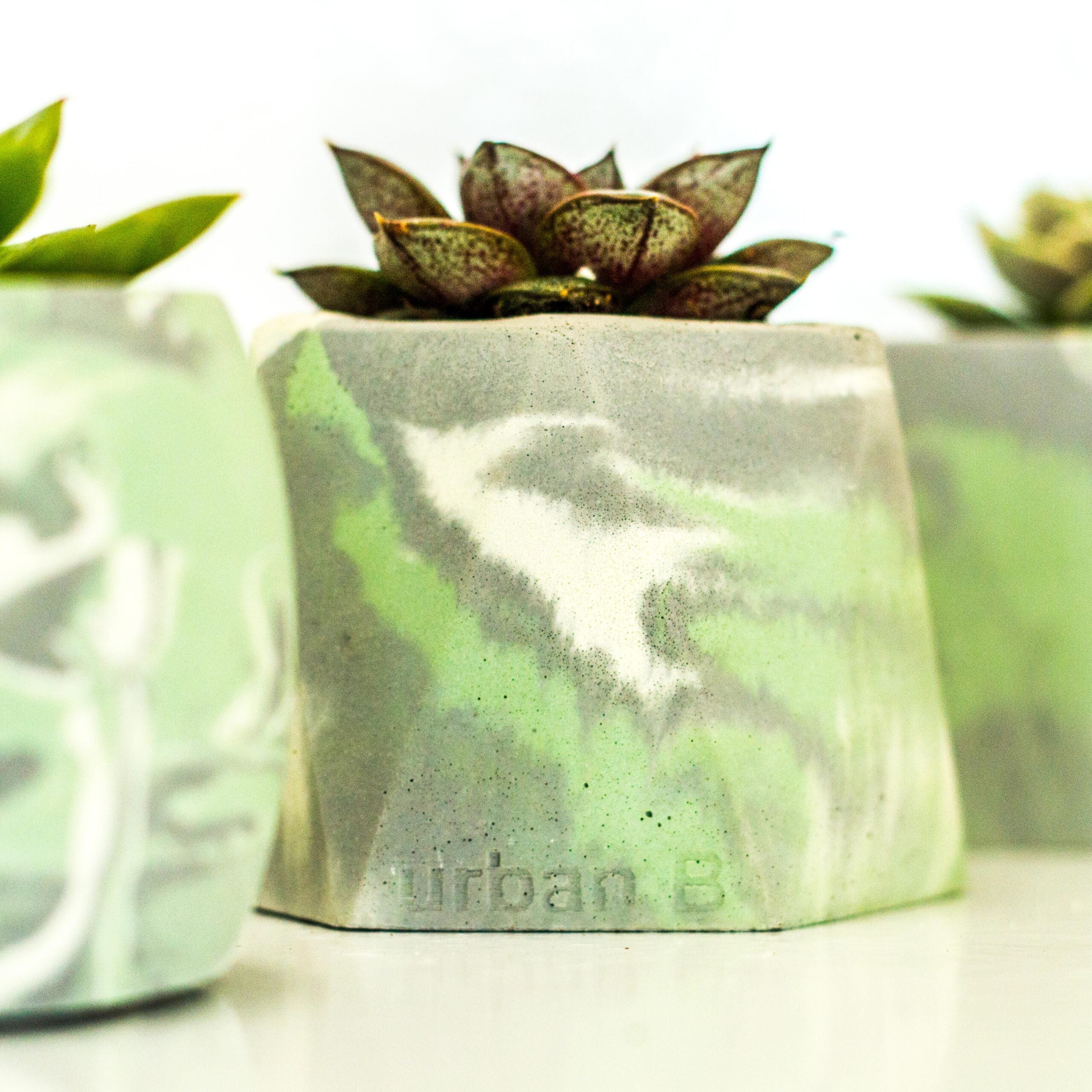 3 Concrete Pots with succulents