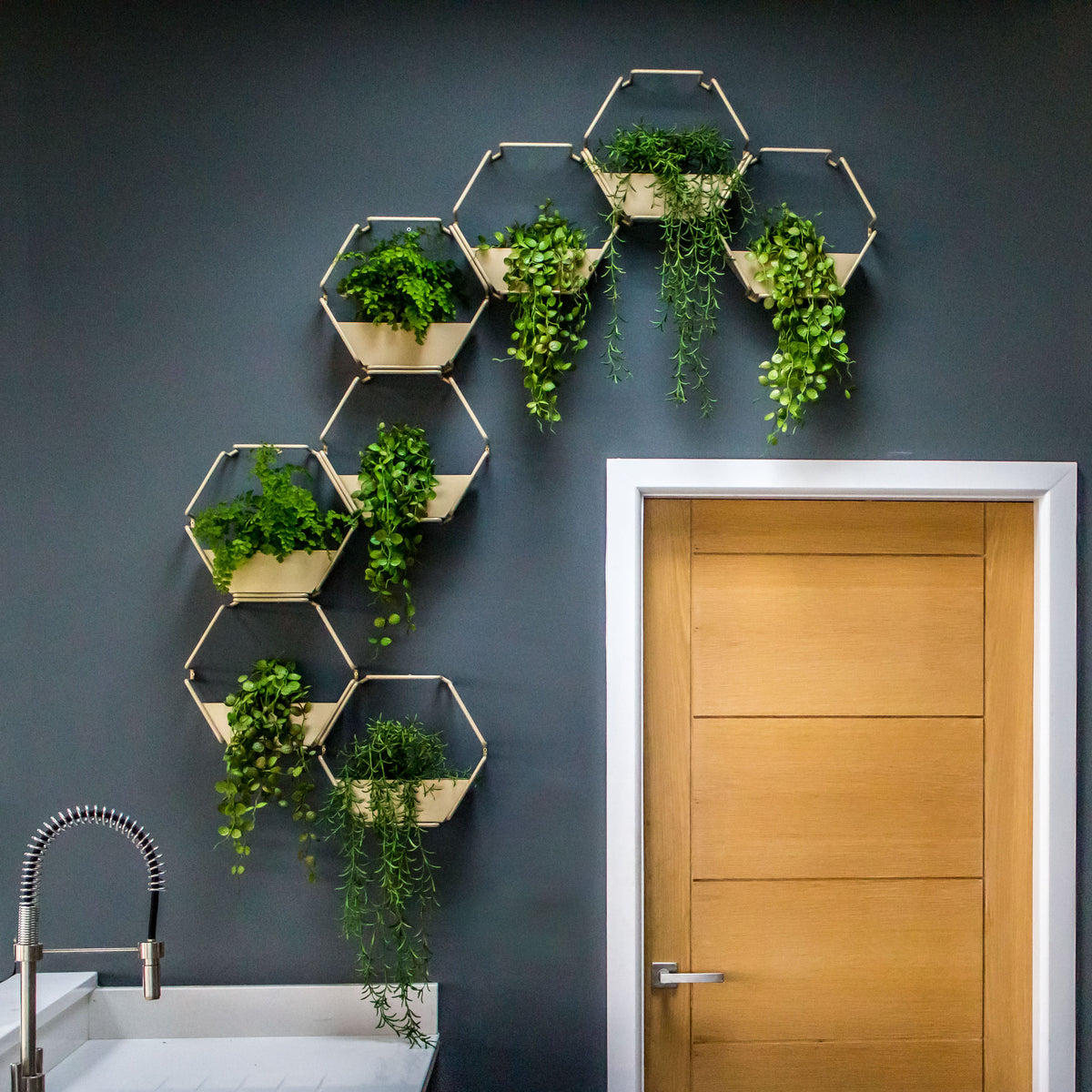 Hive Wall Planters – urban B